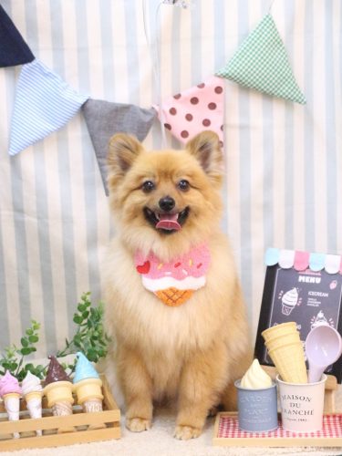 2025051ららちゃん